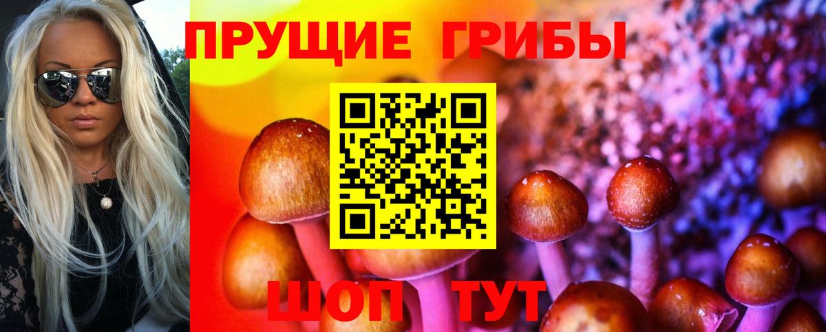 Ульяновск  Псилоцибиновые грибы Cubensis  Галлюциногенные грибы Cubensis  Вход с VPN 